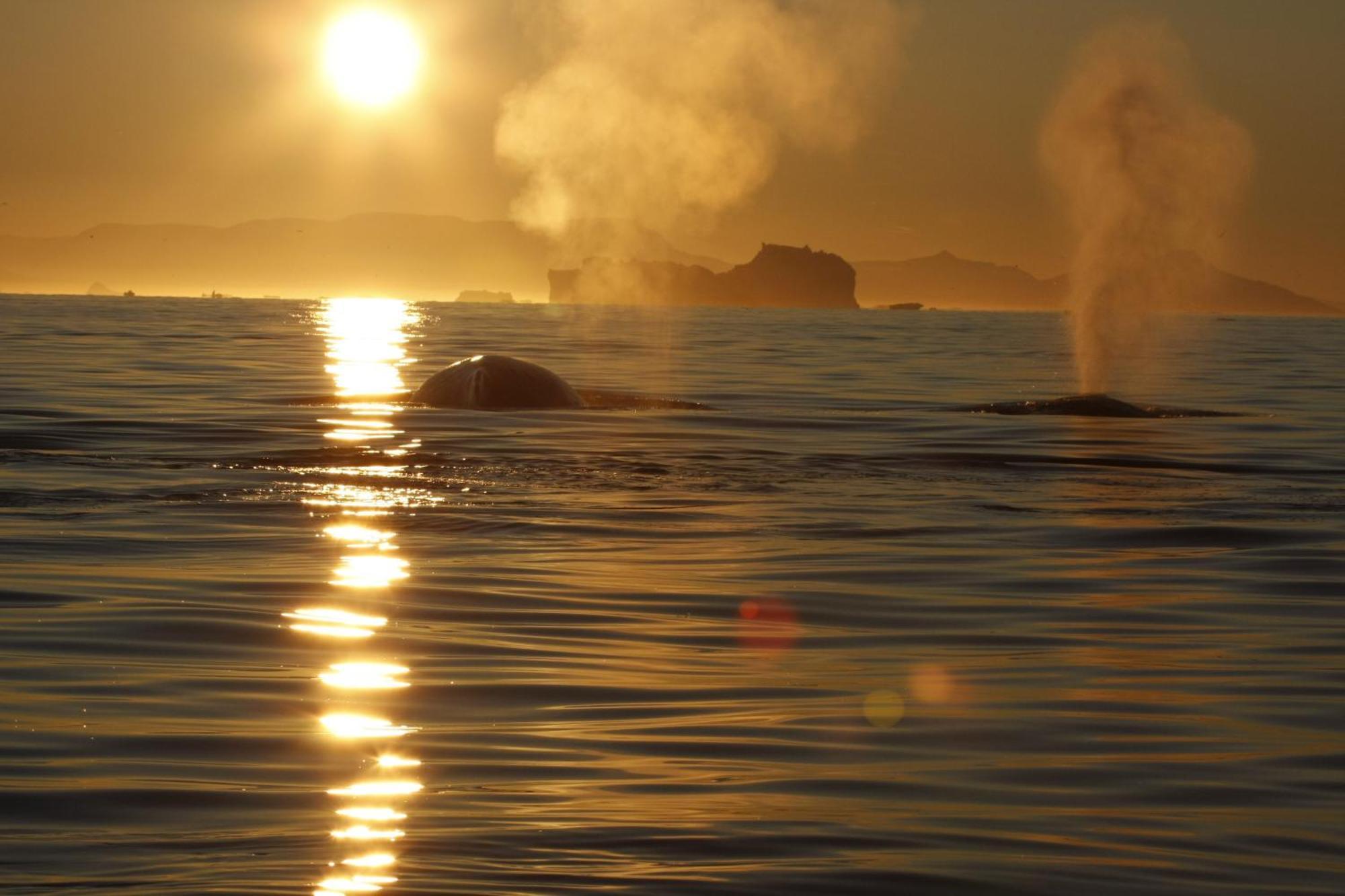 Hotel Icefiord Ilulissat Ngoại thất bức ảnh